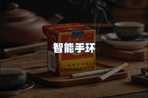智能手环